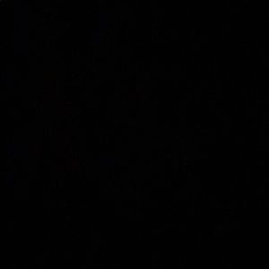 Meet your Posher, Ron